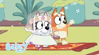 Lo más destacado de Chaotic Muffin and Socks | Bluey Español Canal Oficial