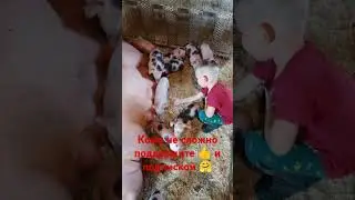 #деревня