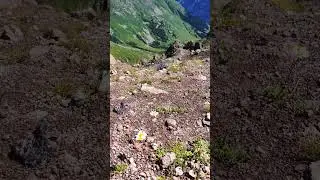 Место, где стоит побывать - обсерватория в Терсколе #восхождениенаэльбрус #эльбрус #горыкавказа