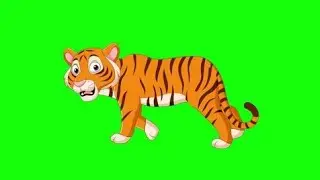 Tiger 🐅 green screen cartoon character