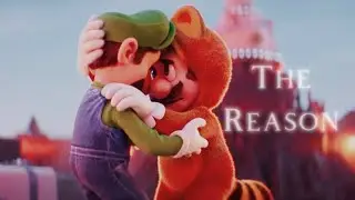 Mario & Luigi | The Reason