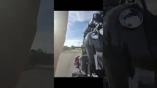Dyna gets a little angry with those long wheelies! #harley #harleywheelies