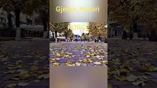Gjergji Nazari     si gjethja e nje peme