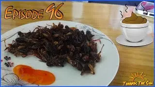 Drinking COFFEE made of excrements and eating crickets. Dalat (Vietnam). Towards The Sun by Bike 96