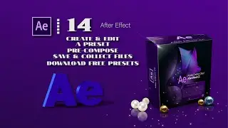 Video 14 - Create & Edit a Preset - Pre compose - Save & Collect Files - Download Free Presets.