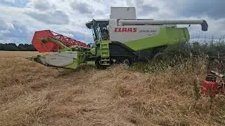harvest 2024 has started