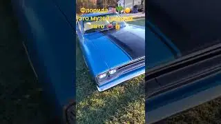Редкие автомобили в США
