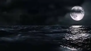 Stive Morgan -  Sea Of Tranquility