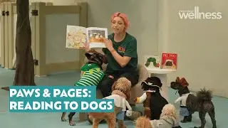 Paws & pages: Reading to dogs for confidence and calm