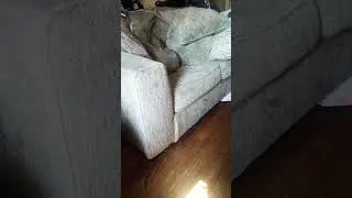 come with us