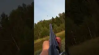 Внезапный налет