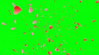 Green screen flowers effect/falling hearts green screen effects/rose flower effect