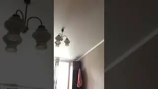 Фарма, тренинг, курс, пиздёжь