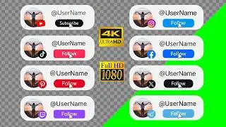 Custom Social Media Subscribe Button Animation | Green Screen & Transparent 4K/HD | 8 Platforms