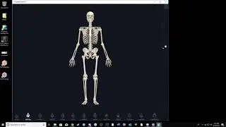 3D4Medical HOW TO