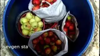 ПОГРЕБОК на даче, в гараже