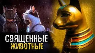 Is it true that killing a cat in Ancient Egypt was punishable by death?