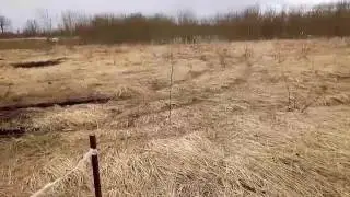 Колышки под будущий дом
