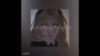 david kushner-daylight