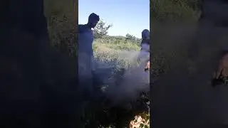 Agora vai 