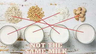 Non-Dairy Milks, Vegan Recipes 2021