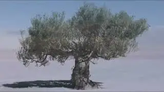 Όλα τα λιόδεντρα - Πάνος Μπούσαλης