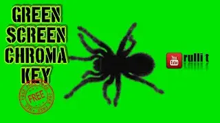 Green Screen HD - SPIDER WALK animation 🔊 sound