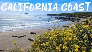 The Coast of California [4K UHD] | Hearst San Simeon State Park | MacKerricher State Park