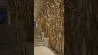 🔥CASINO🔥