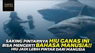 MANUSIA MENCOBA MENGENDALIKAN HIU TERGANAS - Alur Film Deep Blue Sea 2 (2018)
