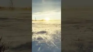 Я нашёл рай на Земле! Но он ледяной и опасный! Позёмка в предгорьях Полярного Урала на Ямале