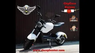 Presentacion Oficial Scooter Electrico Citycoco Katana - Perú 😎🇵🇪🇵🇪