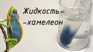 Жидкость-хамелеон. Синий иод