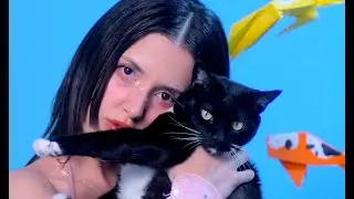 Brenda Rosh - Bebé (lyric video)