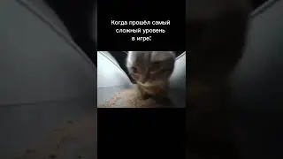 Когда прошёл сложный уровень 