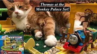 Thomas and Friends Toy Train Set-Trackmaster Thomas Monkey Palace Set!