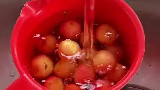 Feeding from nature ! Garden wild cherry 🍒 tree !