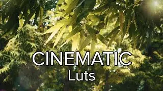 Free Video Luts for cinematic video || 3D Luts