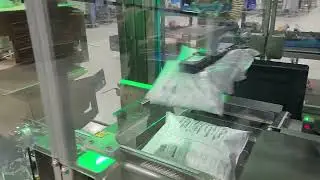 BluePrint Automation Case Packer Spider 200i