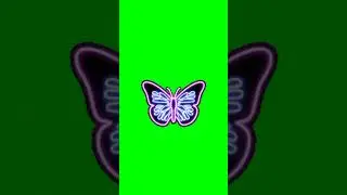green screen neon butterfly effect 