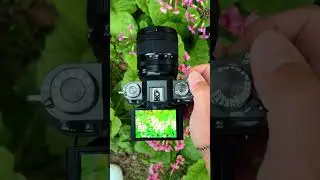 FujiFilm X-T50 ASMR and POV