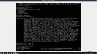 Arch Linux UEFI installation with Cinnamon desktop