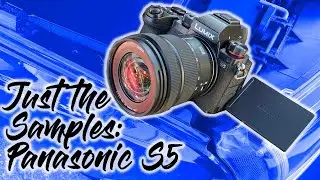 Just the Samples - Panasonic S5