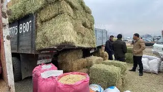 НАРХИ БУЗИ ШИРТЕ РОССИЙСКИЙ ШИРАШ 4 ЛИТЕР ВА ТАКА БАРОИ ЗОТ МОЛБОЗОРИ ДУШАНБЕ ЛЕНИНСКИЙ РАЙОН 2 Ф 22