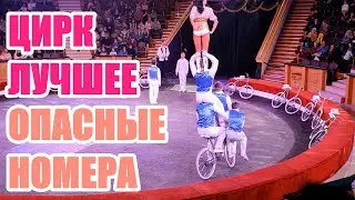 Цирк Лучшее! Опасный номер: Велофигуристы | Лучшие выступления в Гомельском цирке | Цирк Гомель 2024