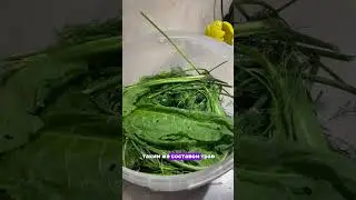 БОЧКОВЫЕ ОГУРЦЫ #деревня #рецепт #рецепты #вкусно #сад #еда #соленья #бочковвеогурцы #соленыеогурцы