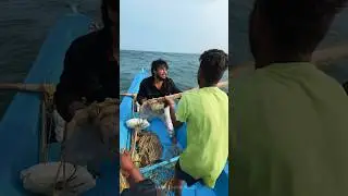 💥🤯Camera man-அ கடல்ல தூக்கி போட்டாச்சு..⁉️💢 #shorts