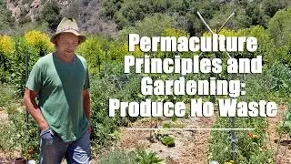 Permaculture Principles and Gardening: Produce No Waste