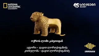 ოქროს ლომი კახეთიდან | სილქნეტისა და National Geographic საქართველოს პოდკასტი