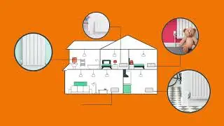 Hive Radiator Valve TRV - The Basics